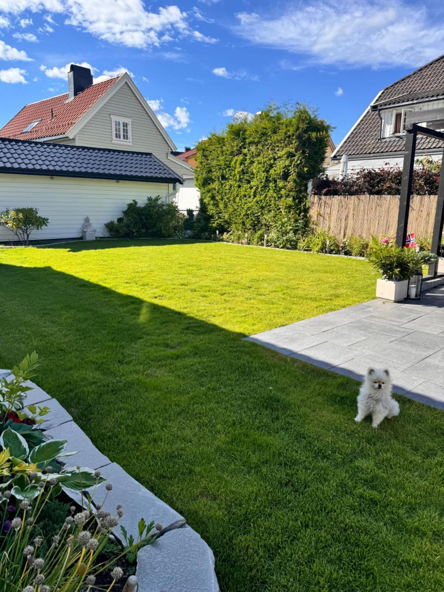 Leilighet I Bakklandet Med Parkering Og Hage *
